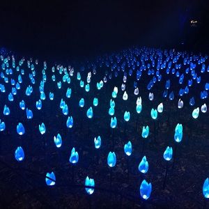 Meet your Posher, Alison